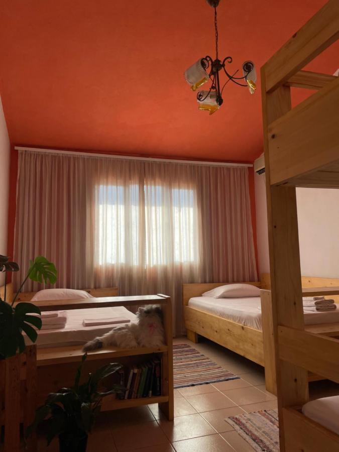 Cozy Big Apartment With Balcony Tirana Bagian luar foto