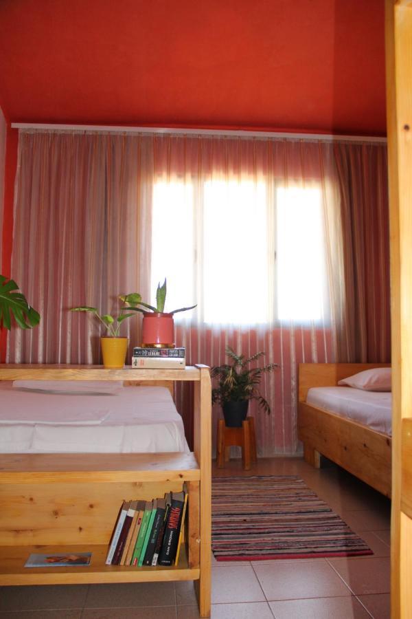 Cozy Big Apartment With Balcony Tirana Bagian luar foto