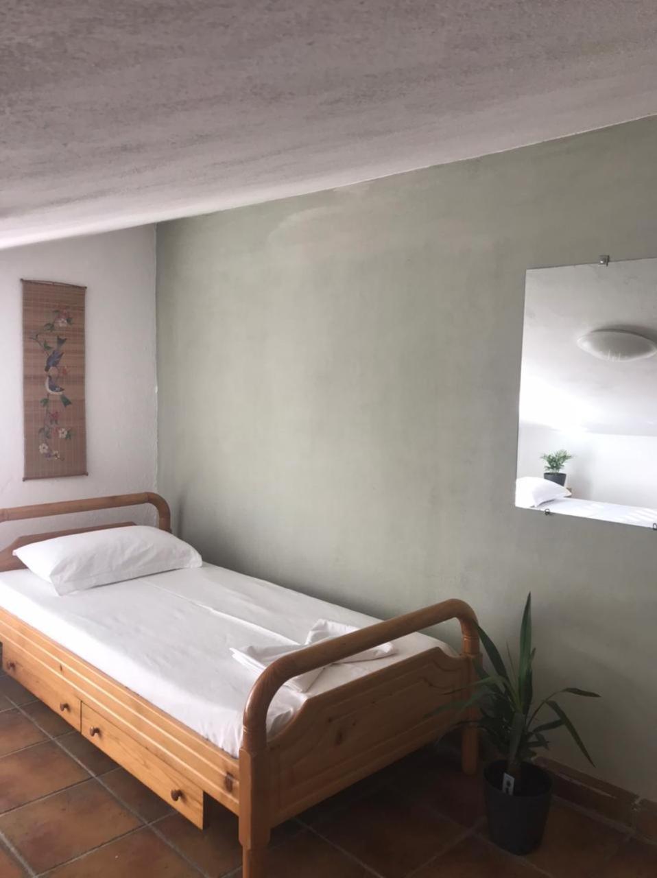 Cozy Big Apartment With Balcony Tirana Bagian luar foto